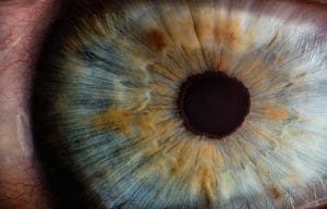 which one is better, lasik or prk